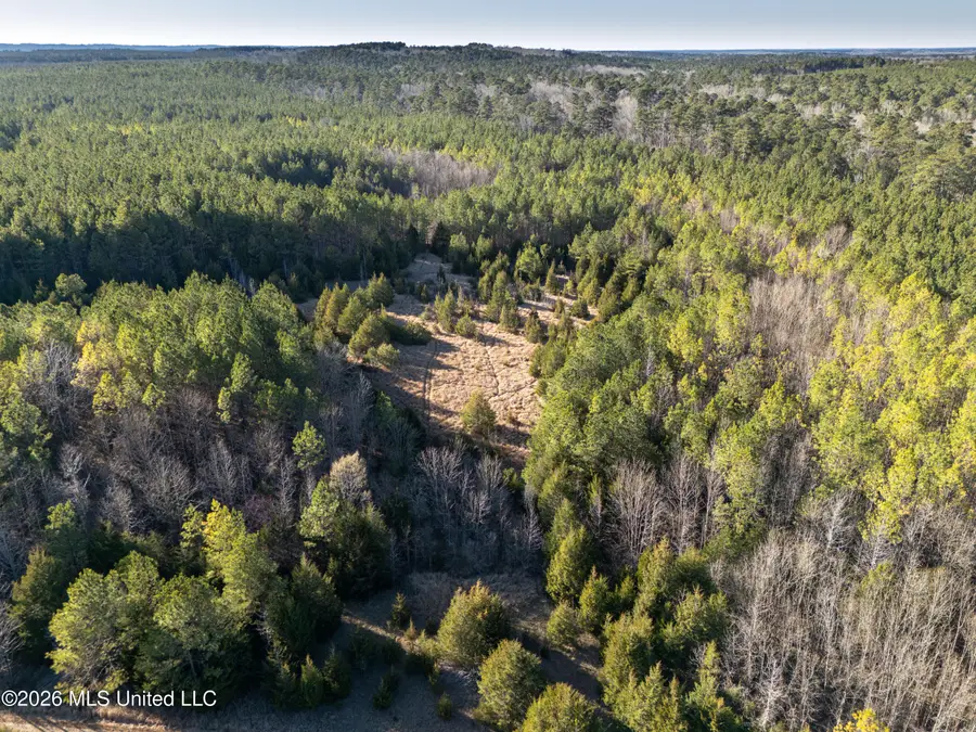 County Road 2414, Louin, MS 39338 - #3