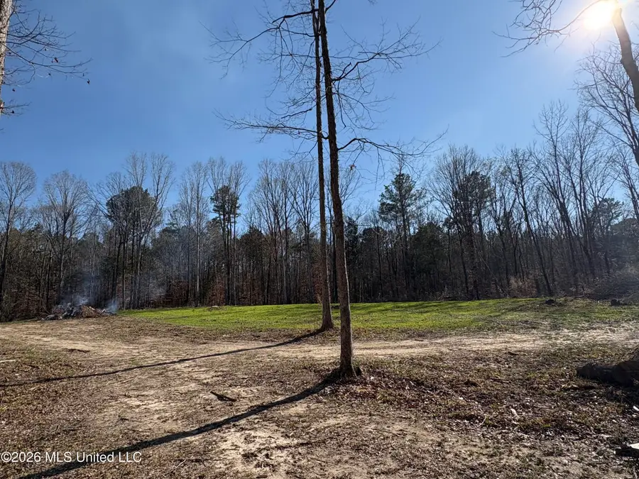 229 Barnes Road, Florence, MS 39073 - #2