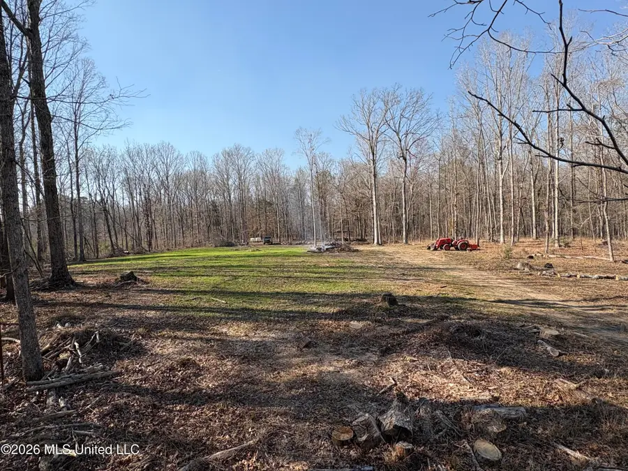 229 Barnes Road, Florence, MS 39073 - #3