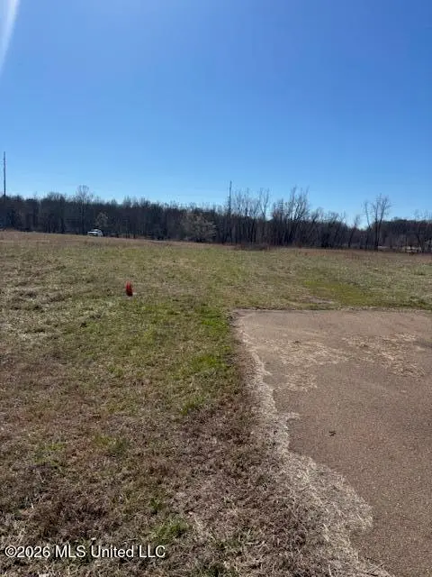 4587 Grazeland Drive, Olive Branch, MS 38654 - #2