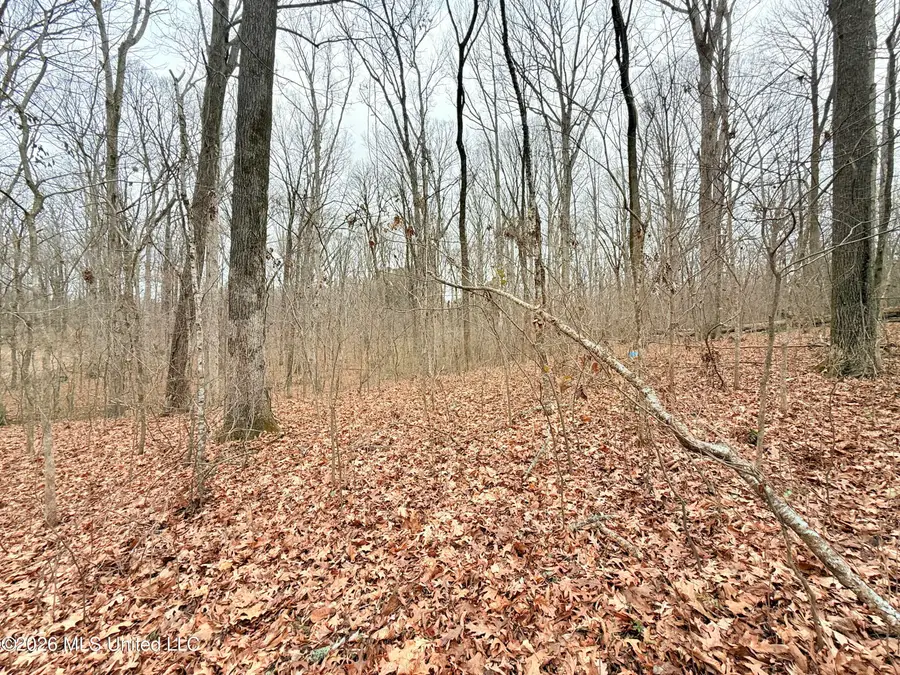 Pioneer Village Road, Senatobia, MS 38668 - #3