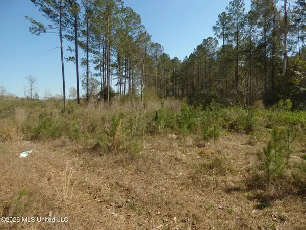 0000 C D Rayborn Road, Jayess, MS 39641