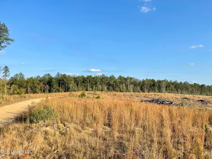 Underwood Ball Road, Leakesville, MS 39451 - #3