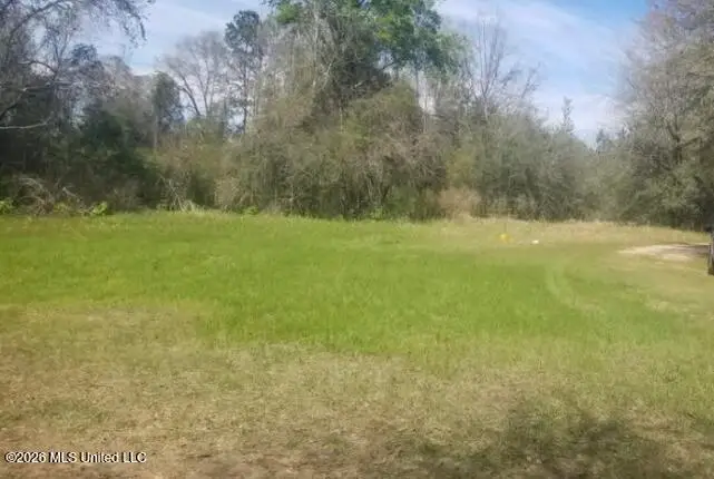 Kenny Drive, State Line, MS 39362 - #1