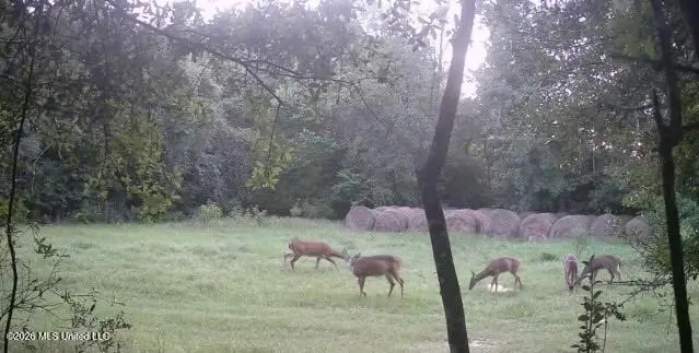 Kenny Drive, State Line, MS 39362 - #2
