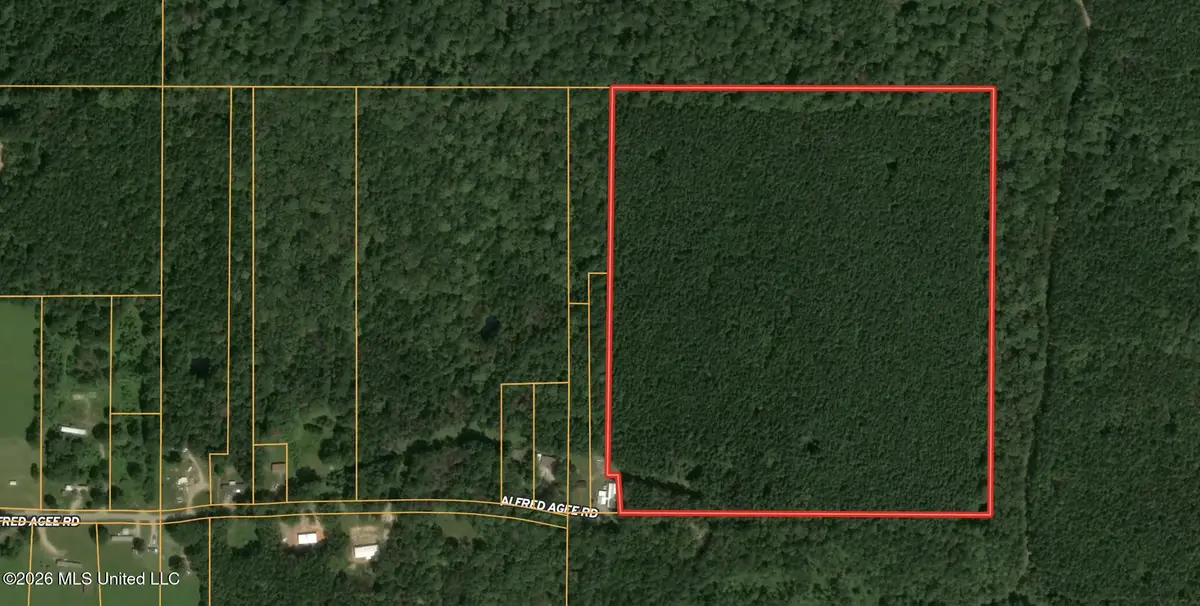 0 Alfred Agee Road, Morton, MS 39117 - #1