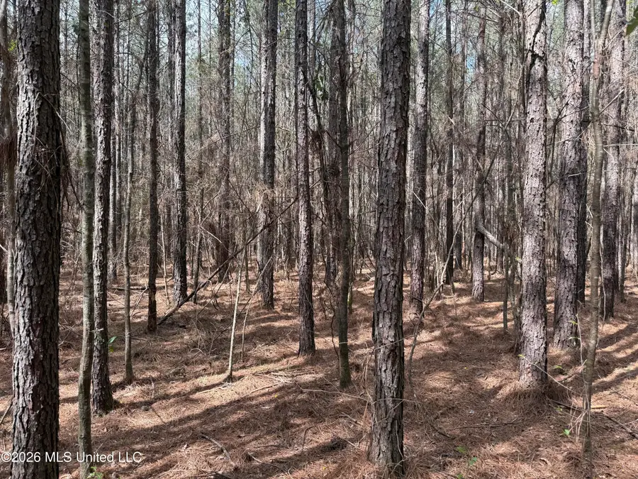 0 Alfred Agee Road, Morton, MS 39117 - #2