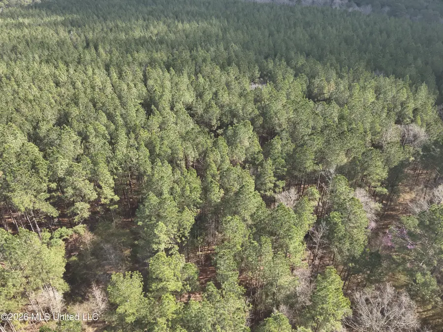 0 Alfred Agee Road, Morton, MS 39117 - #3