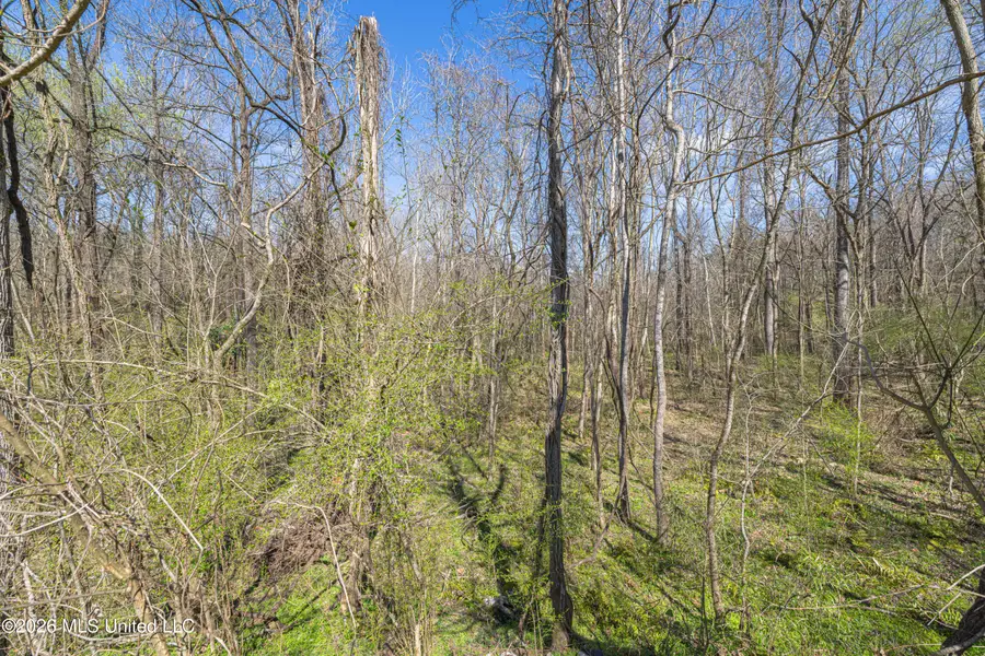 0 Reed Wilson Road, Vicksburg, MS 39183 - #2