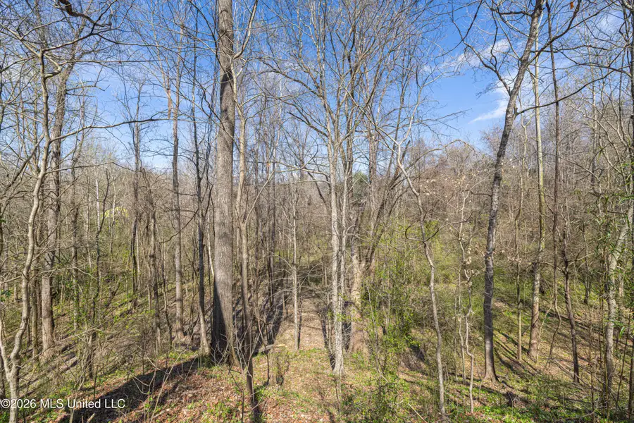 0 Reed Wilson Road, Vicksburg, MS 39183 - #3