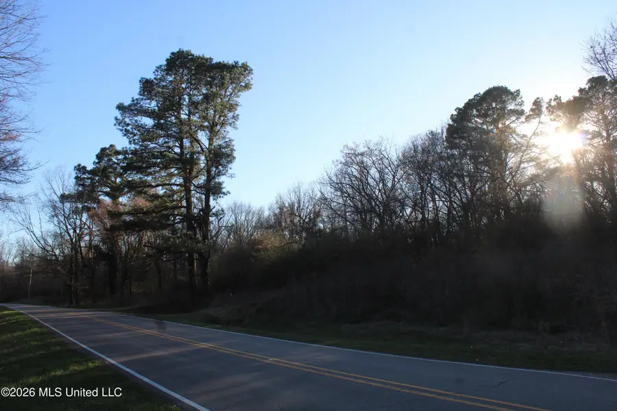 3641 Miller Road, Olive Branch, MS 38654 - #2