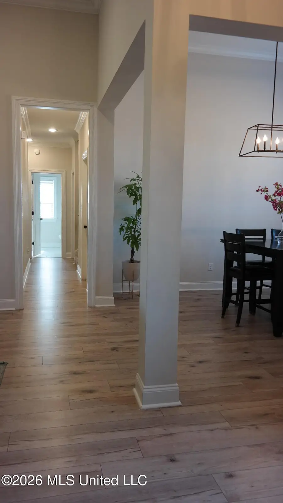 2876 Ross Meadows Lane, Olive Branch, MS 38654 - #2