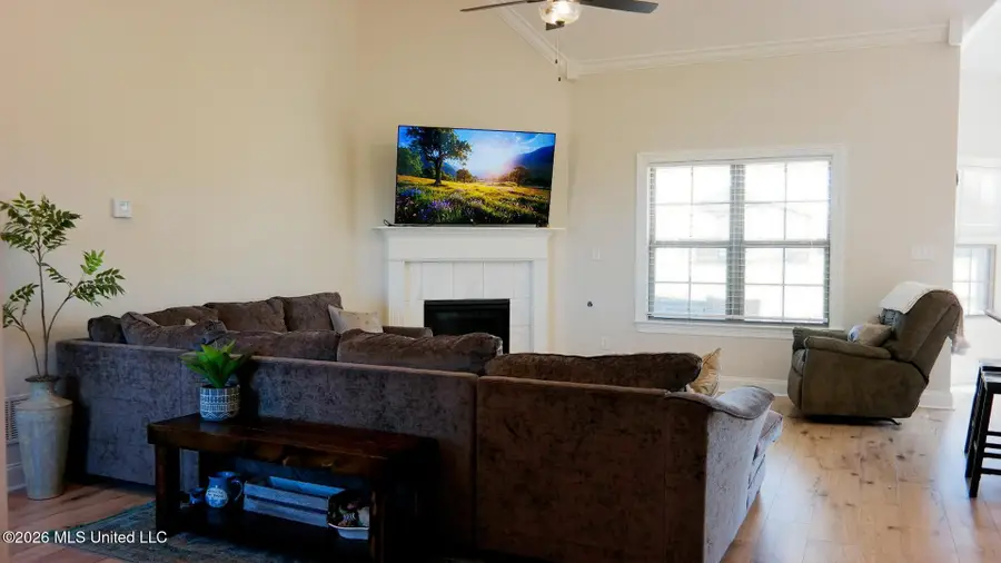 2876 Ross Meadows Lane, Olive Branch, MS 38654 - #3