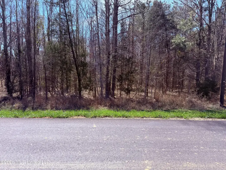 0 Old Hwy 3, Edwards, MS 39066 - #3