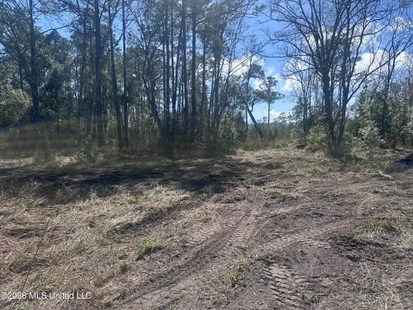 Orange Grove Road, Moss Point, MS 39562
