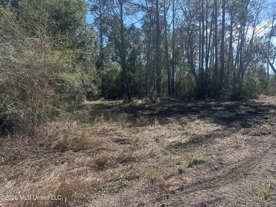 Orange Grove Road, Moss Point, MS 39562 - #3