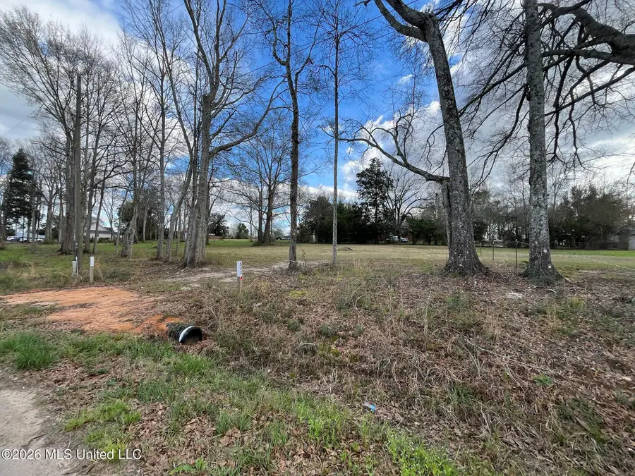 800 Elm Avenue, Richton, MS 39476 - #2