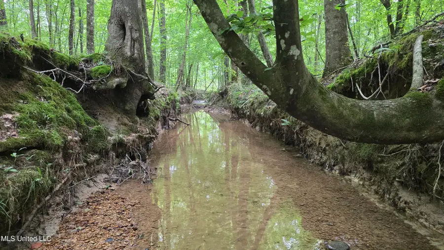 Pearson Road, Stewart, MS 39767 - #2