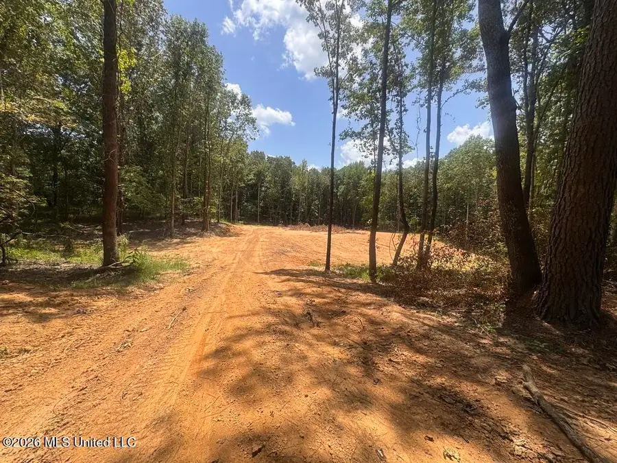 75 Leonard Lane, Holly Springs, MS 38635 - #2