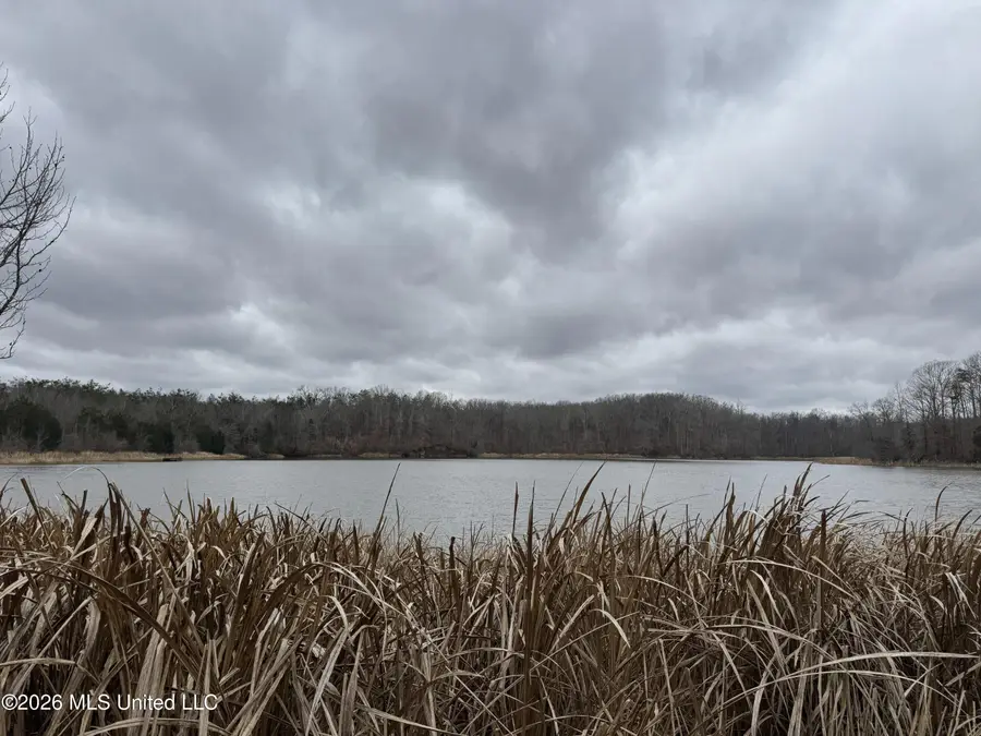 157 Eulogy Road, Lexington, MS 39095 - #2