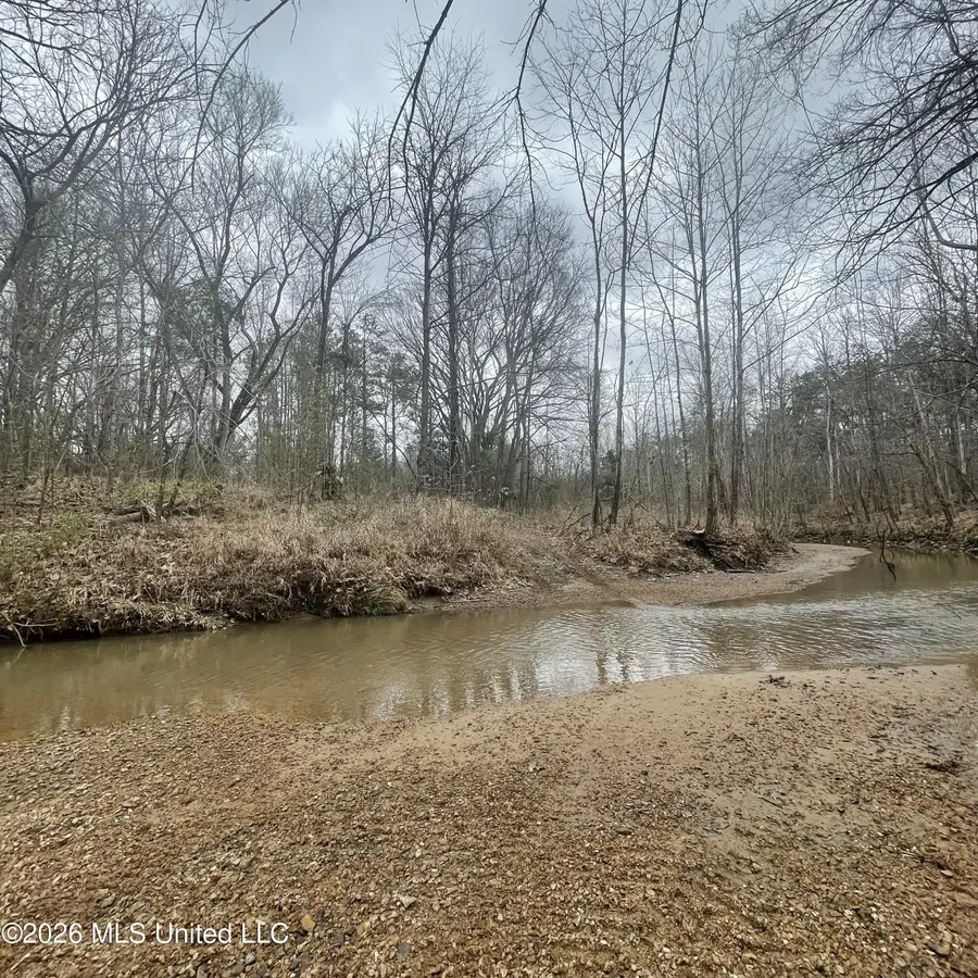 157 Eulogy Road, Lexington, MS 39095 - #3