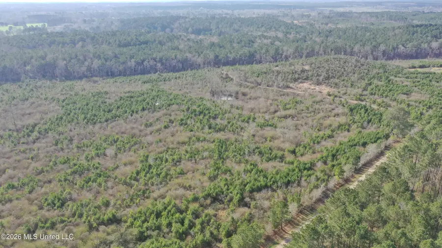 Warren Hill Place, Brandon, MS 39042 - #2