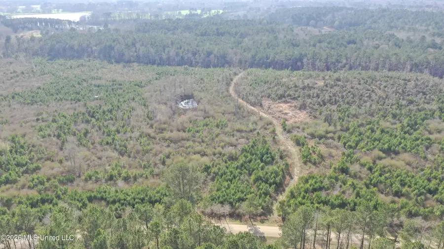 Warren Hill Place, Brandon, MS 39042 - #3