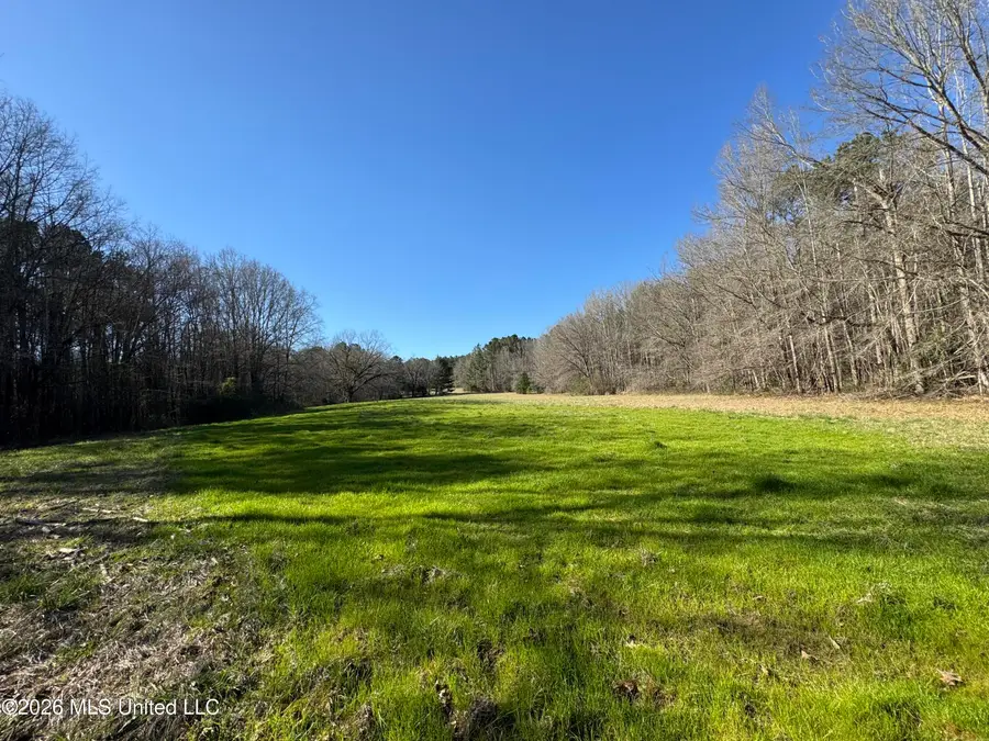 29 Sontag-nola Road, Sontag, MS 39665 - #2