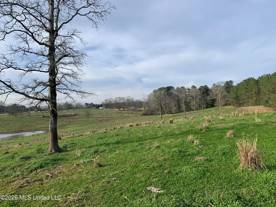 79 Adron Boyd Road, Tylertown, MS 39667 - #2