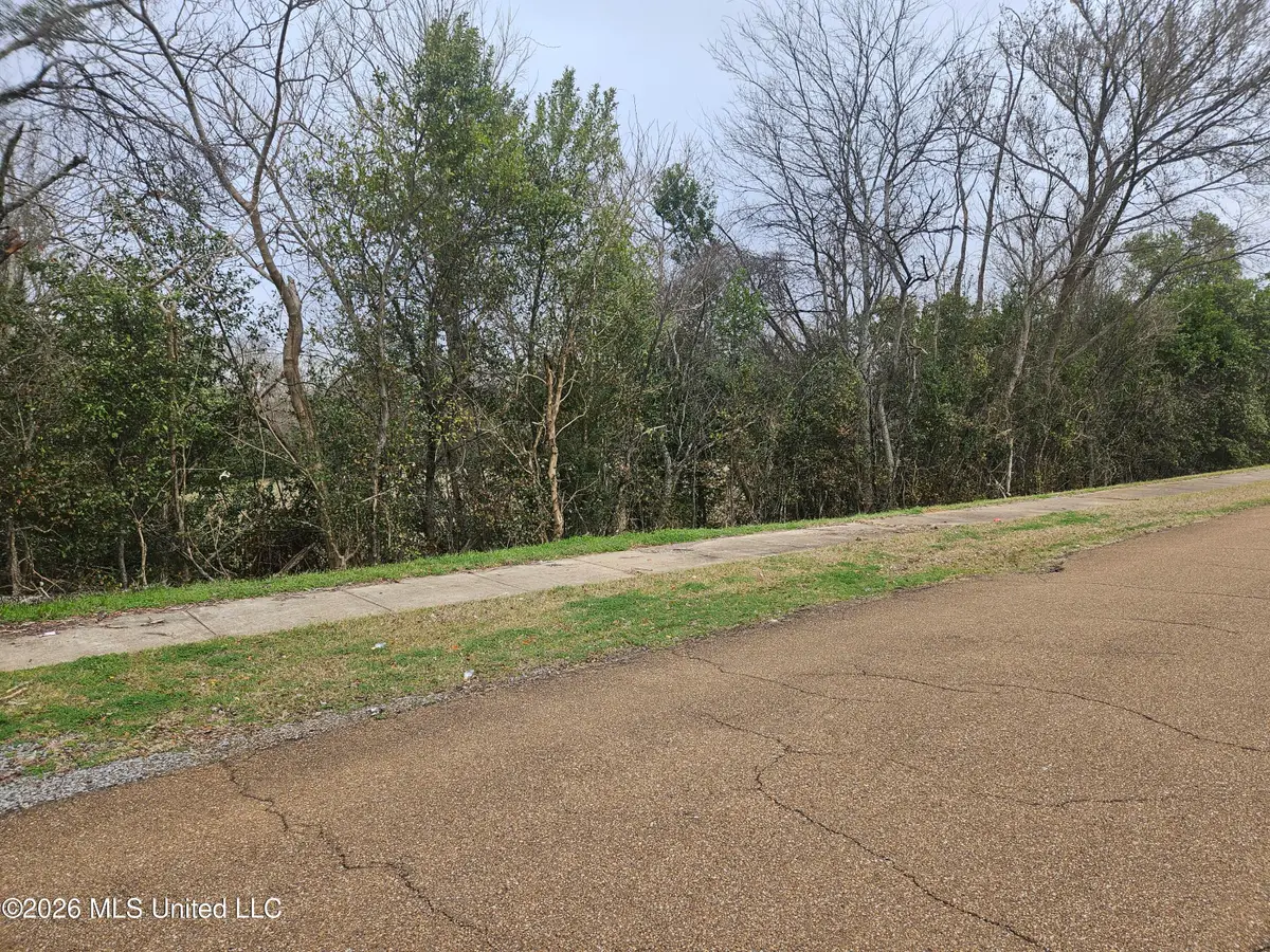 309 Bob D Williams Lane, Natchez, MS 39120 - #1