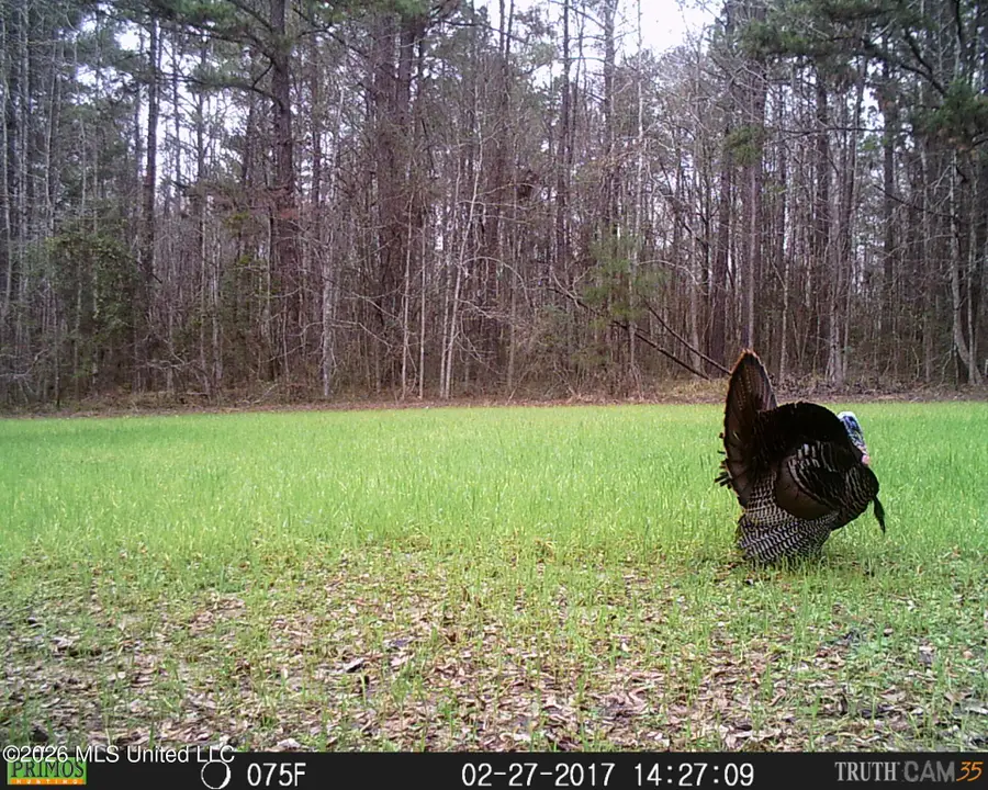 2738 County Farm Road A D, Liberty, MS 39645 - #2