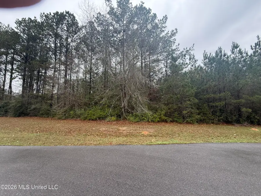 Tbd Pine Haven Drive, Saucier, MS 39574 - #3
