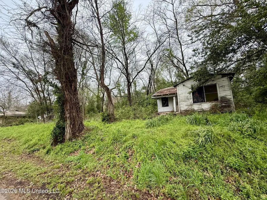 486 W Stiers Lane, Natchez, MS 39120 - #3