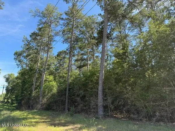 2 Acres Hwy 49, Collins, MS 39428