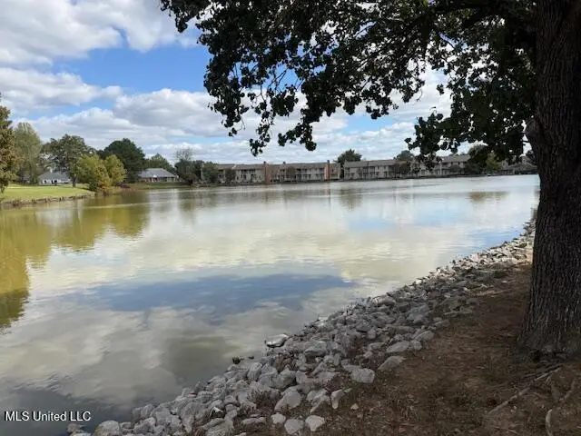 6231 Waterford Drive, Jackson, MS 39211 - #2