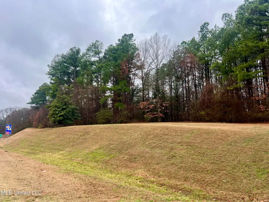 Old Hwy 51, Nesbit, MS 38651 - #2