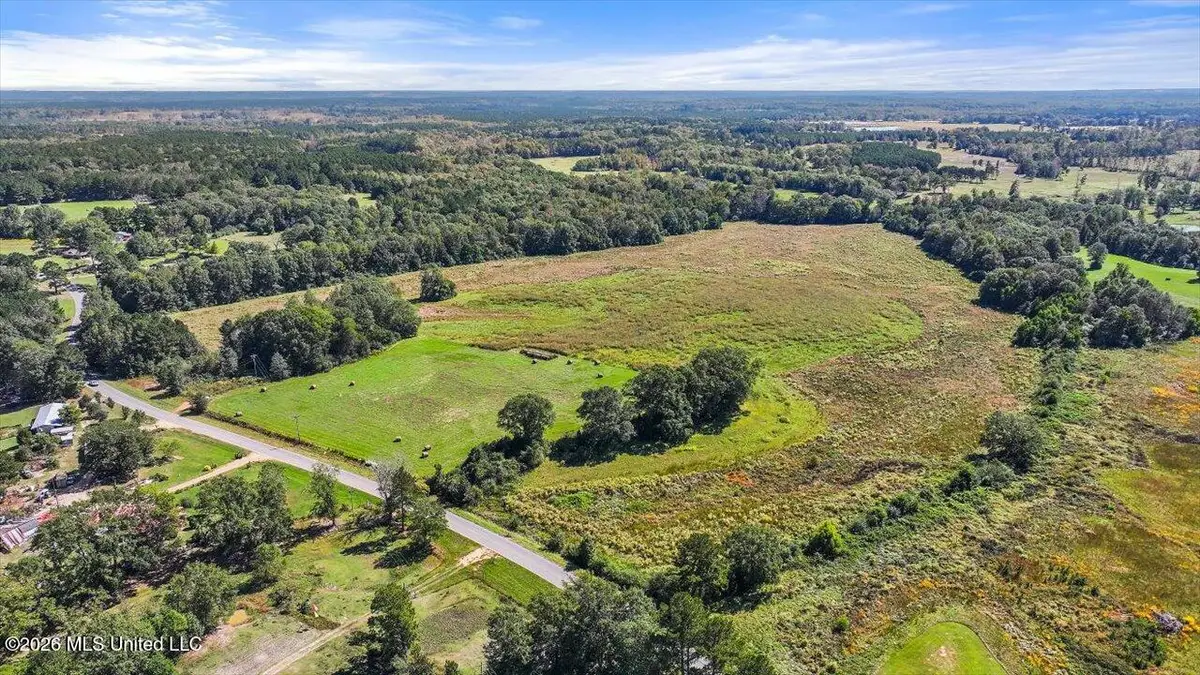 Dry Creek Road, Magee, MS 39111 - #1