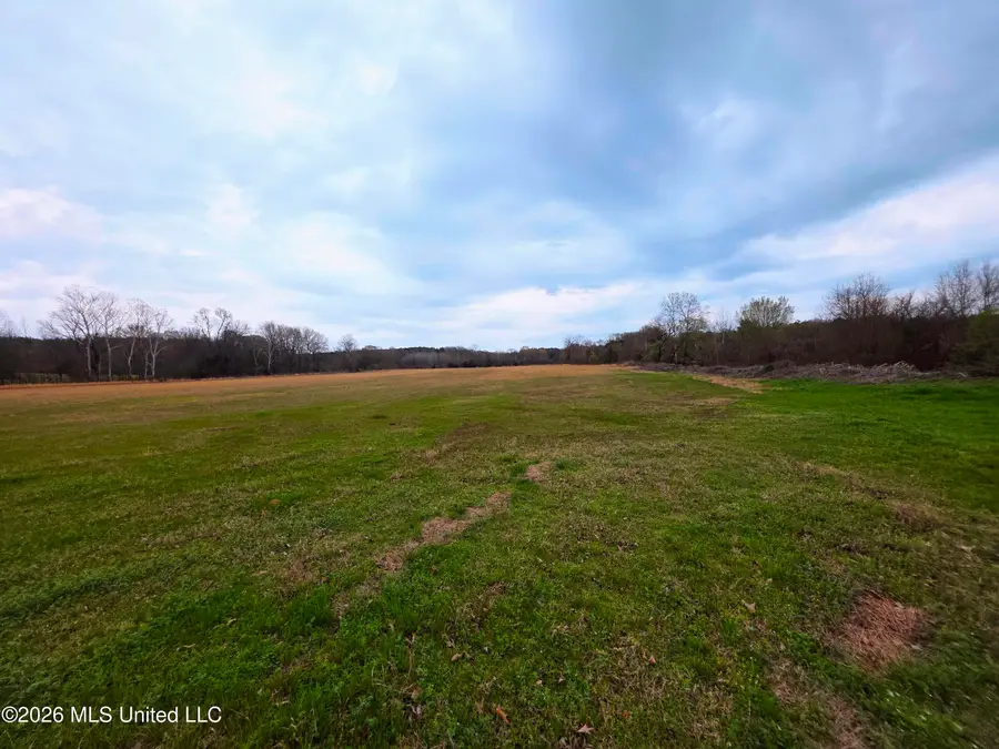 Barr Road, Coldwater, MS 38618 - #3