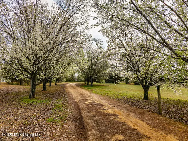 4597 Hernando Road, Holly Springs, MS 38635 - #2