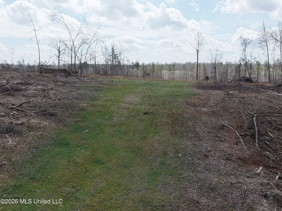001 Lane Rd, Cascilla, MS 38920 - #2