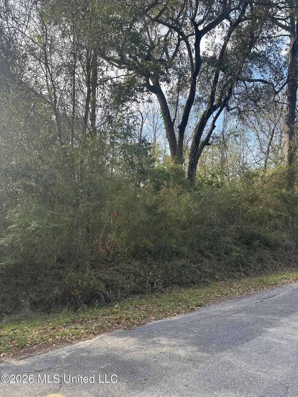 0 May Street, Ocean Springs, MS 39564 - #1