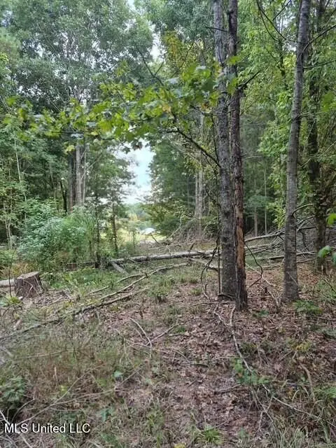 Lake View Dr, Yazoo City, MS 39194 - #3