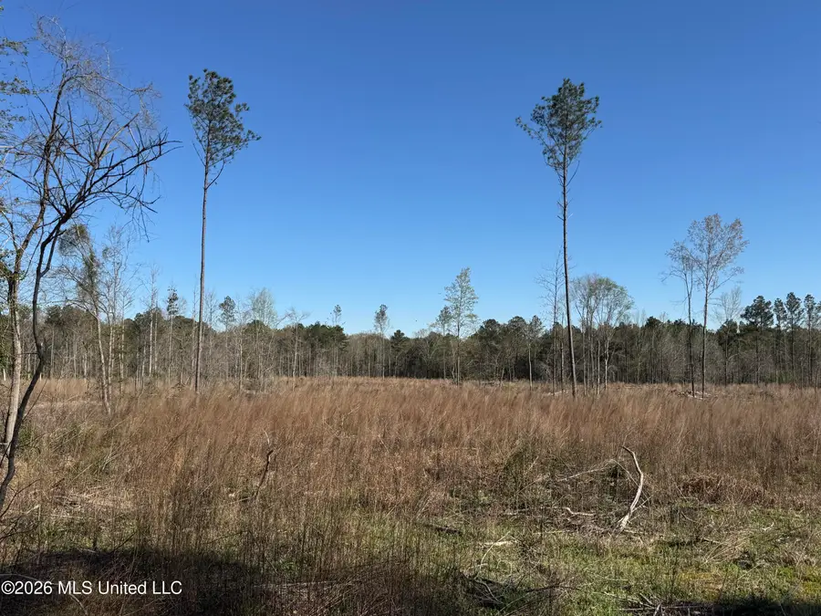00 Bilbrew Road, Lena, MS 39047 - #3
