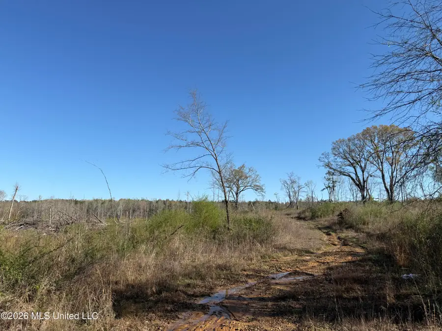 385 Vanarsdale Road, Pickens, MS 39146 - #3