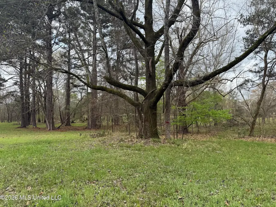 Lot 20 Bristol Court, Madison, MS 39110 - #3