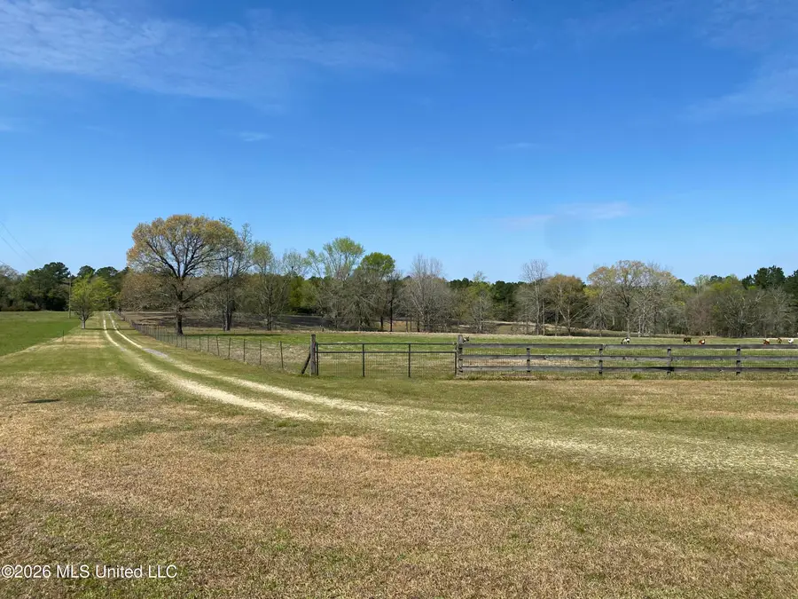 1133 Hancock Road, Lucedale, MS 39452 - #3