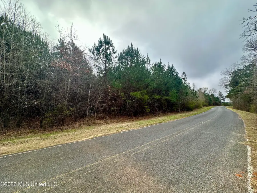 NW Bouie Mill Road, Brookhaven, MS 39601 - #3