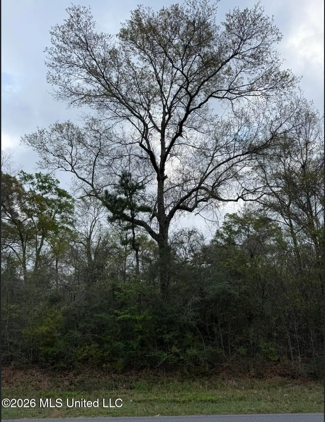 Lot 10 Northrup Cuevas Road, Gulfport, MS 39503 - #1