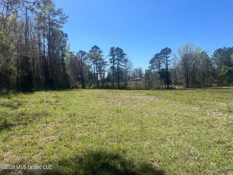 Raymond Bolton Road, Raymond, MS 39041 - #2