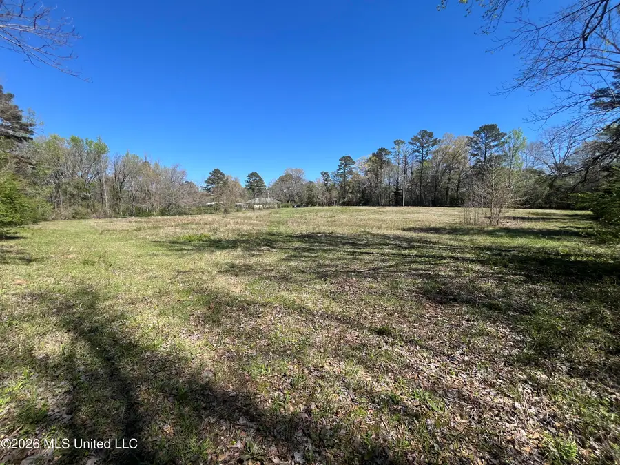 Raymond Bolton Road, Raymond, MS 39041 - #3